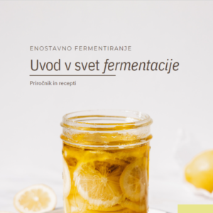 E-knjiga: Uvod v svet fermentacije